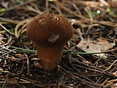 DSC_0076.JPG