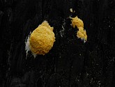 DSC_0138.JPG