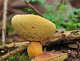 DSC_8345.JPG
