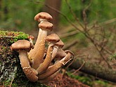 DSC_8349.JPG