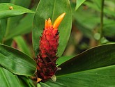 DSC_8489.JPG