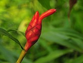 DSC_8490.JPG