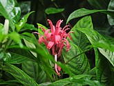 DSC_8495.JPG