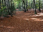 IMG_0144.JPG
