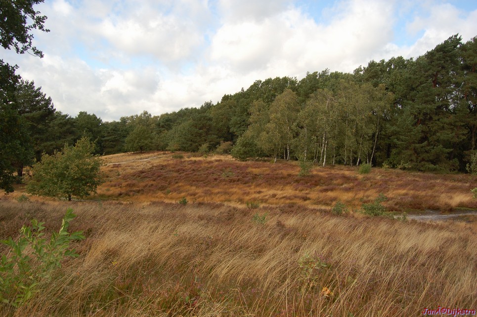 dsc_0165.jpg