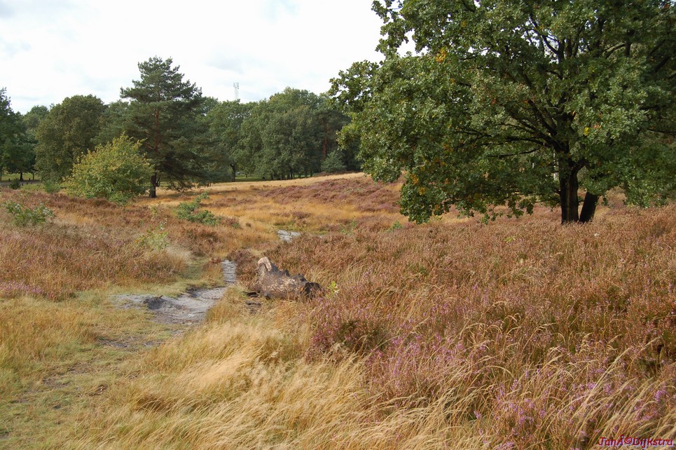 dsc_0167.jpg
