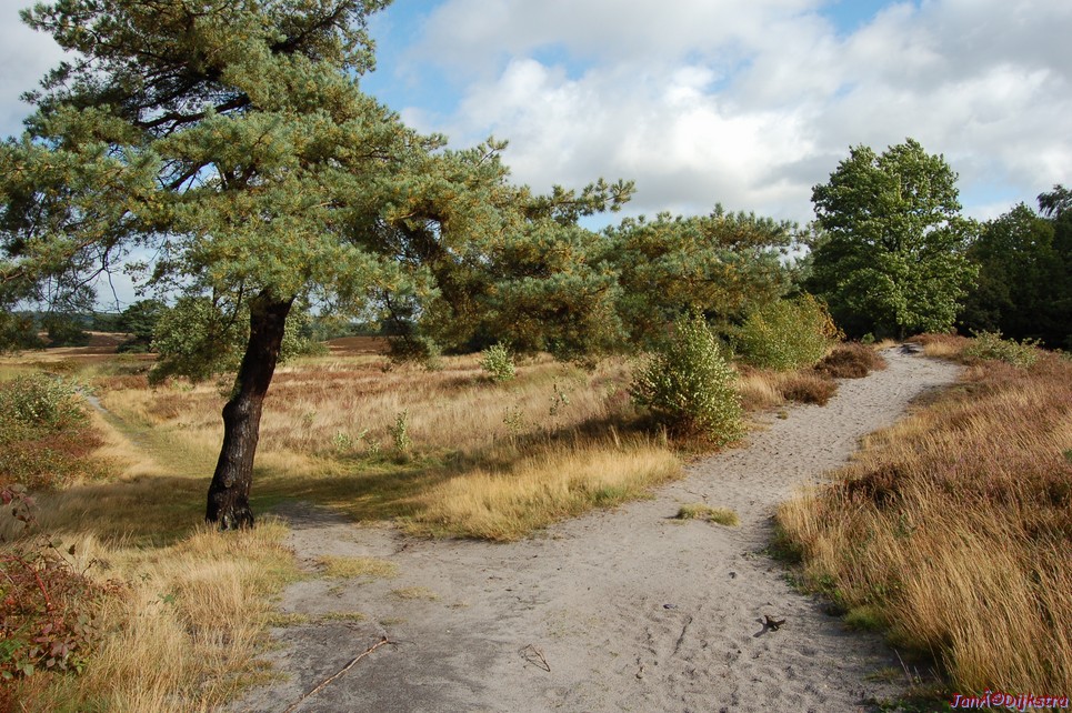 dsc_0173.jpg