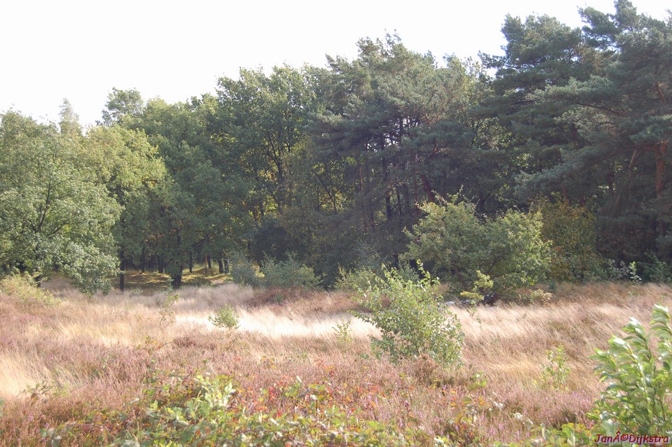 dsc_0175.jpg