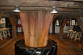 dsc_0105.jpg