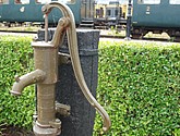 dsc_0136.jpg