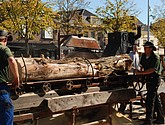 dsc_0045.jpg