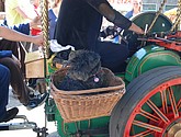 dsc_0168.jpg