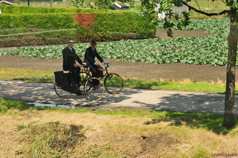 dsc_7432.jpg