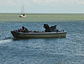 dsc_7483-1.jpg
