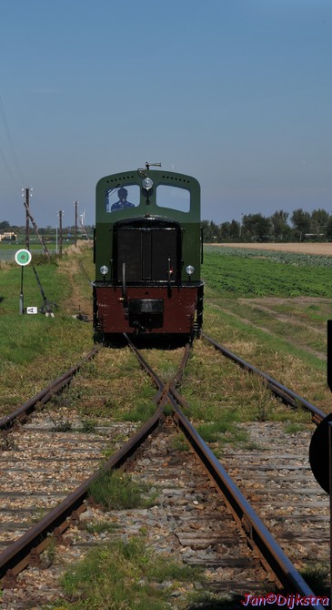 dsc_1264.jpg