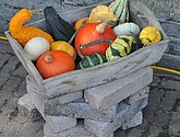 dsc_1217.jpg