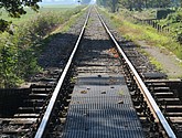 dsc_1235.jpg