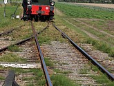 dsc_1260.jpg