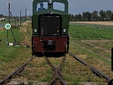 dsc_1264.jpg