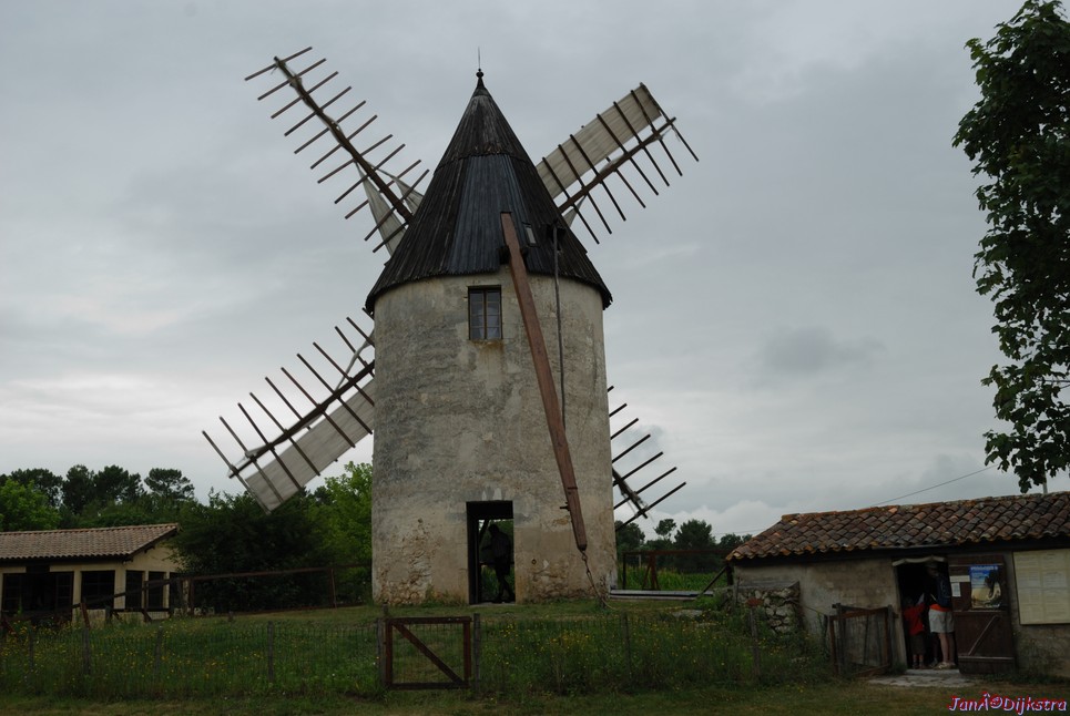 DSC_0010.JPG