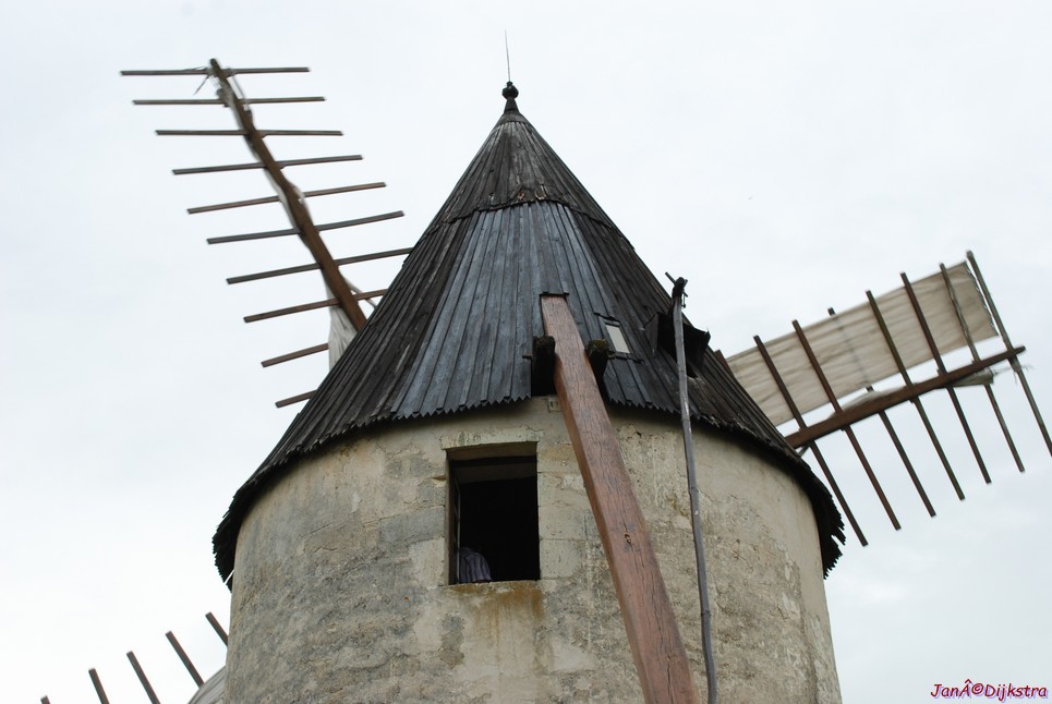 DSC_0012.JPG