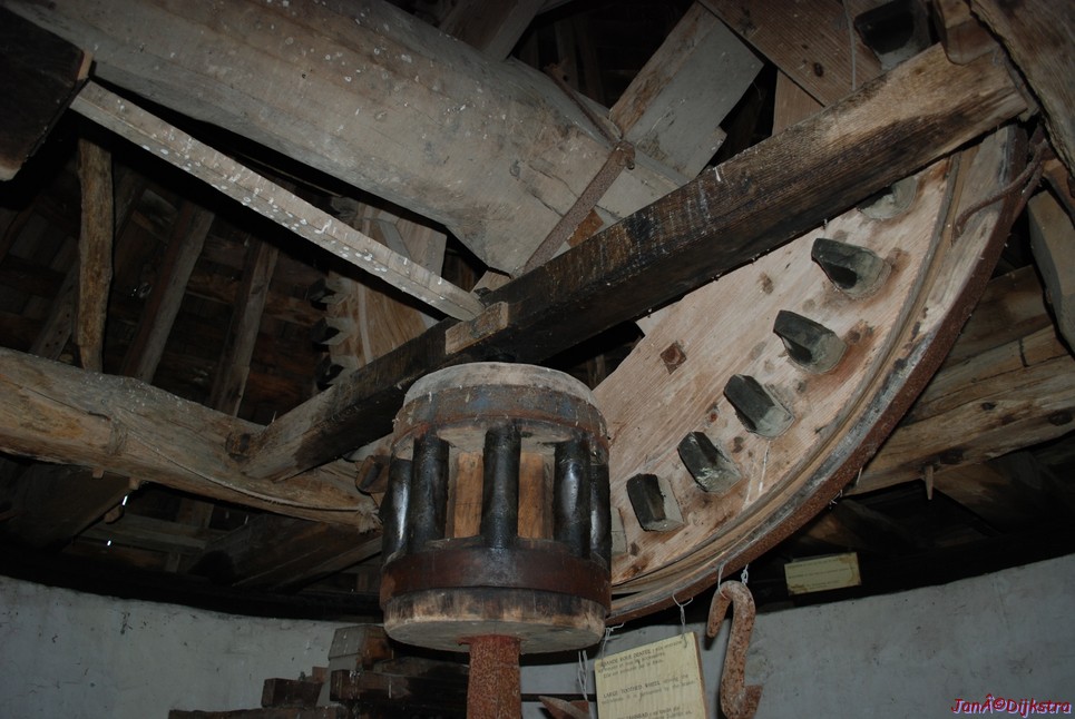 DSC_0023.JPG