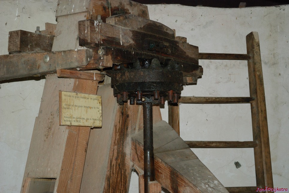 DSC_0029.JPG