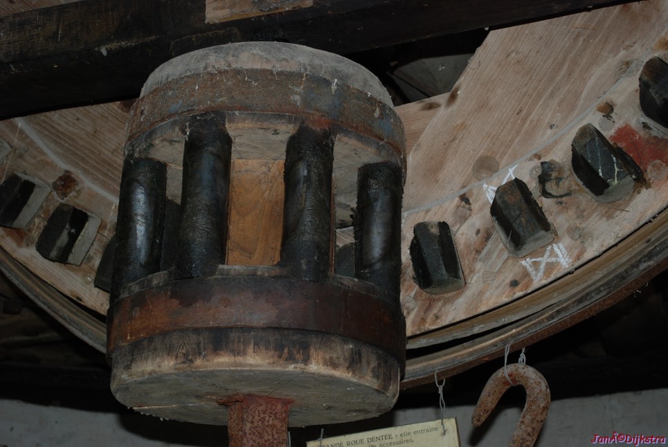 DSC_0030.JPG