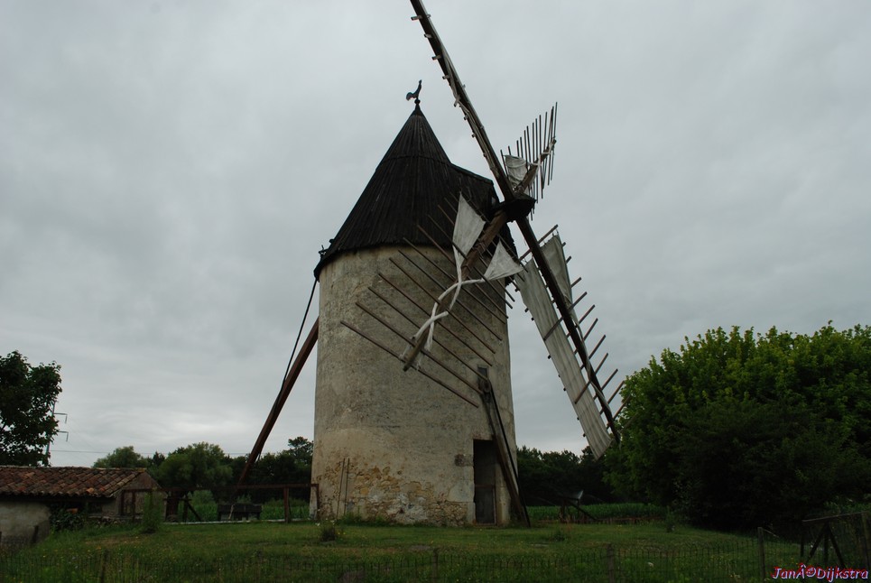 DSC_0043.JPG