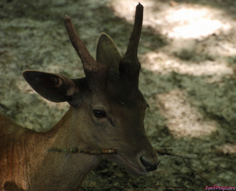 DSC_0120.JPG