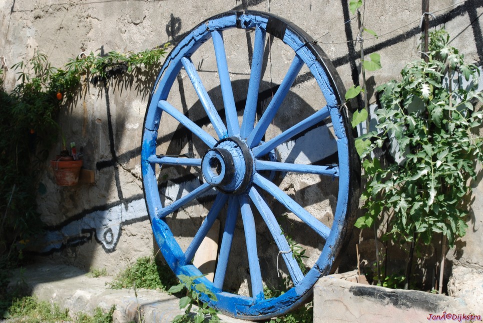 DSC_0371.JPG