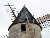 DSC_0012.JPG