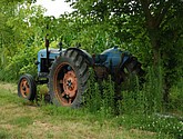 DSC_0051.JPG