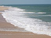 DSC_0063.JPG
