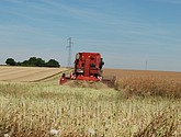 DSC_0077-1.JPG