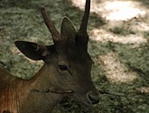 DSC_0120.JPG