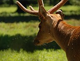 DSC_0149.JPG
