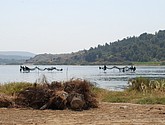 DSC_0372.JPG