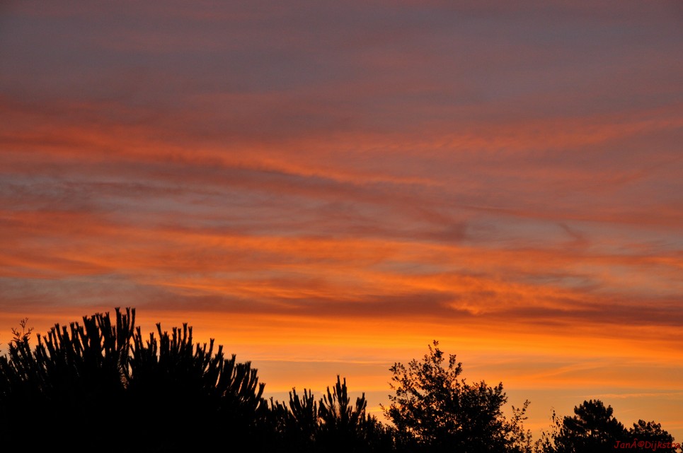 DSC_4123.JPG
