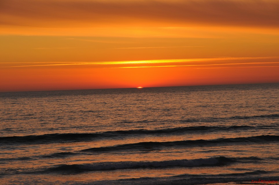DSC_4155.JPG