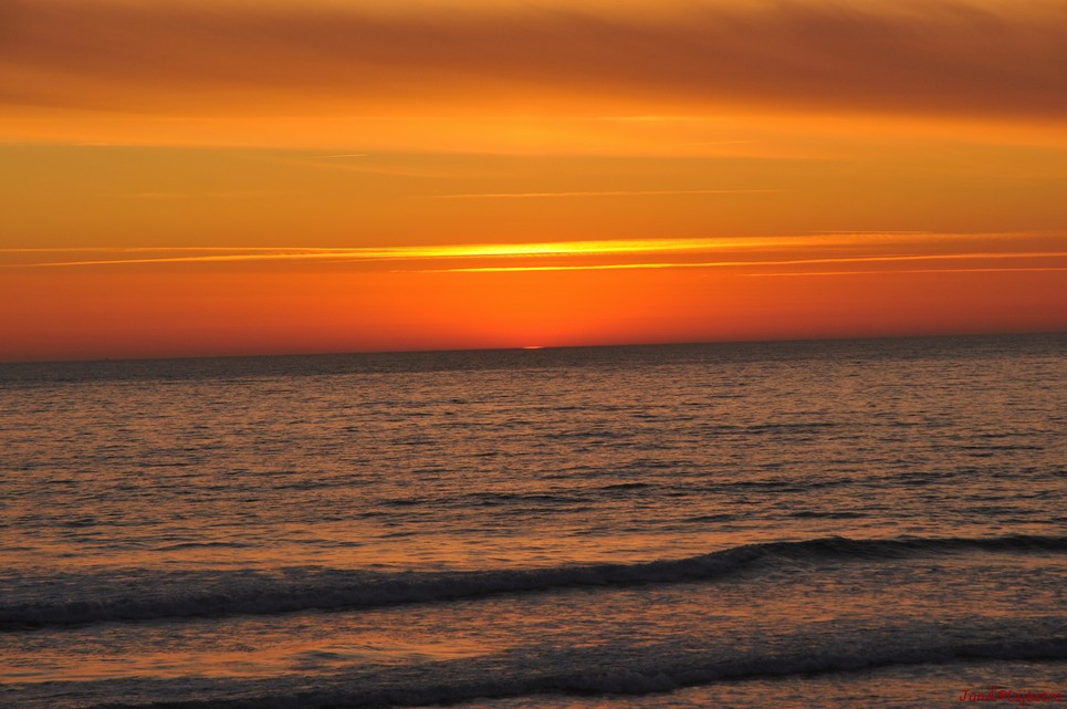 DSC_4157.JPG