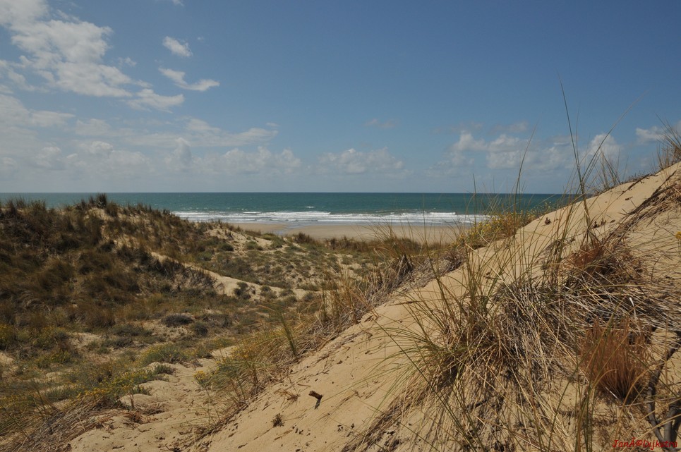 DSC_4179.JPG