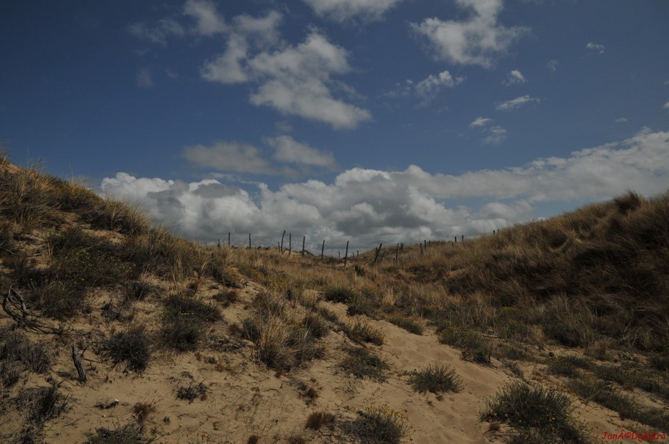 DSC_4183.JPG