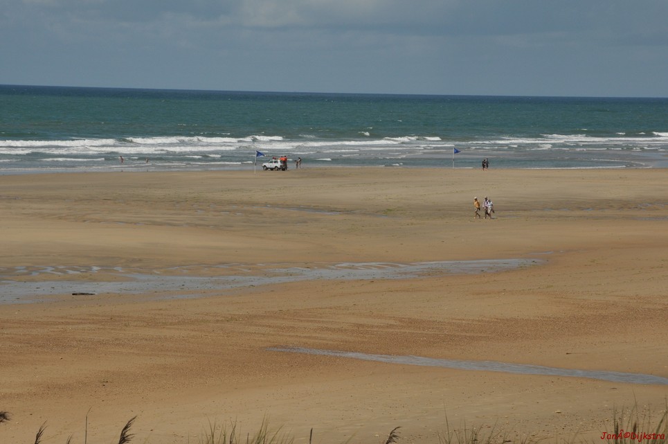 DSC_4185.JPG