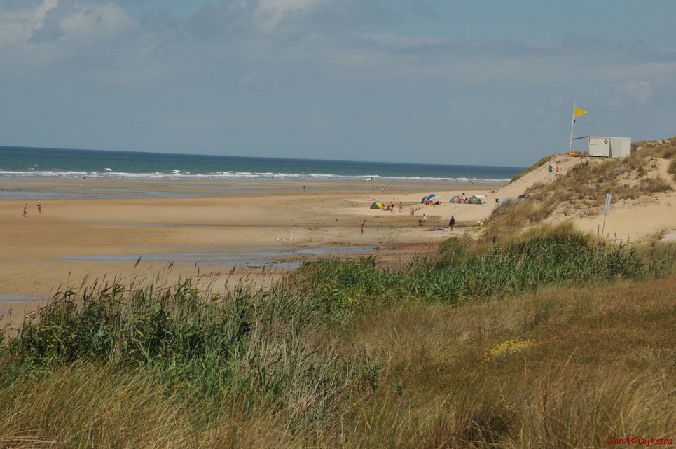 DSC_4186.JPG