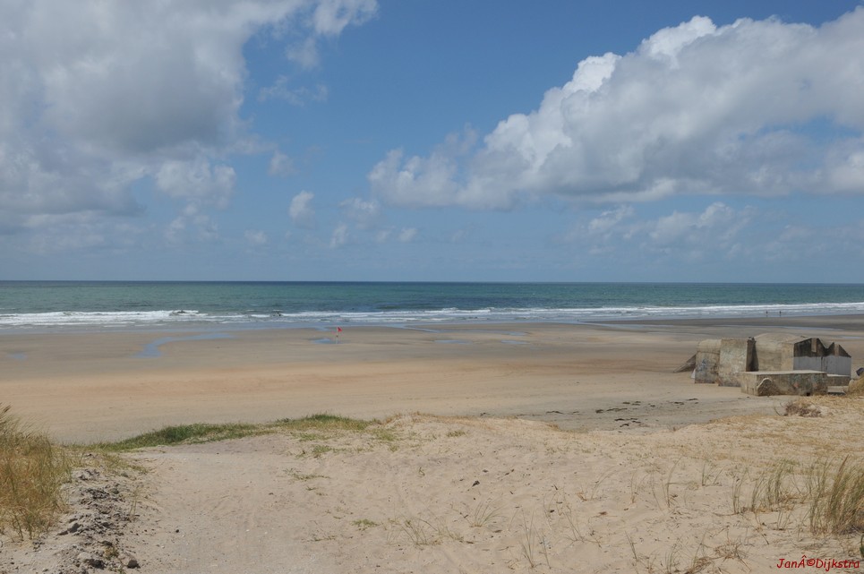 DSC_4218.JPG
