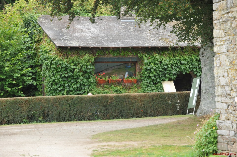 DSC_4226.JPG