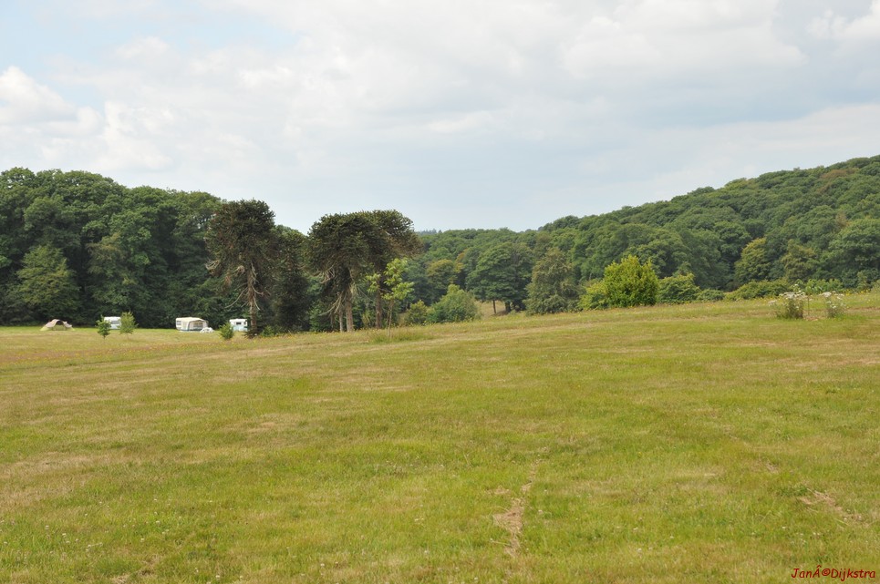DSC_4245.JPG