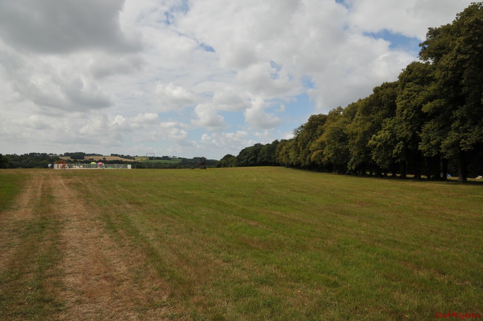 DSC_4248.JPG