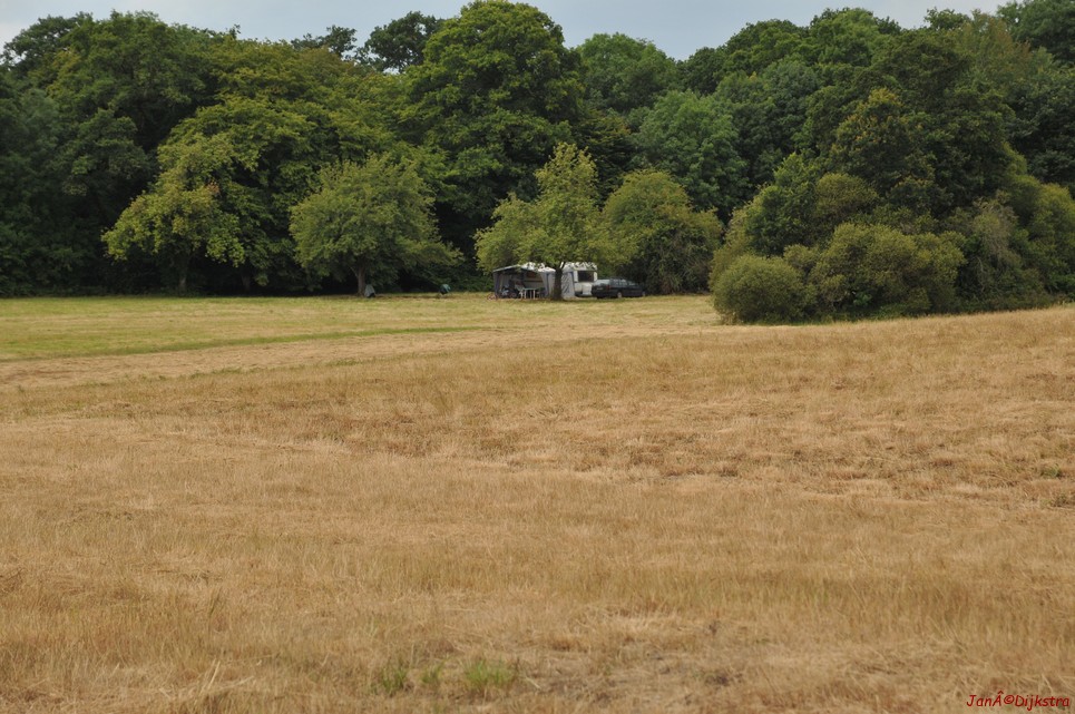 DSC_4251.JPG